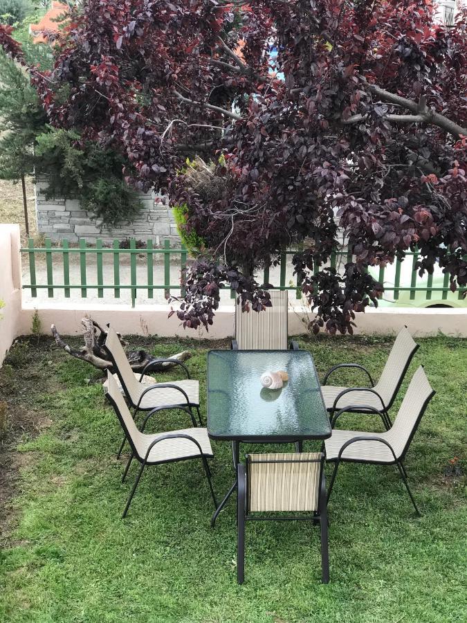 Dimitra'S And Nasia'S Villa Psakoudia Exterior photo